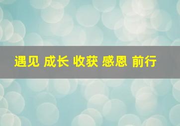 遇见 成长 收获 感恩 前行